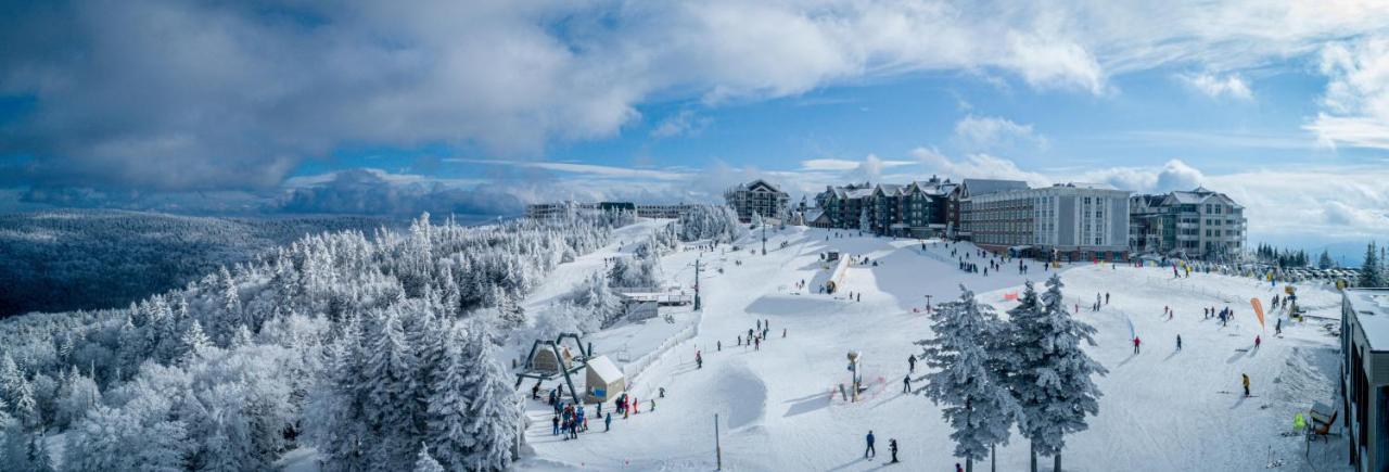 Stroll To Slopes, Village Area, Ski In-Out Mtlodge 304 سنوشو المظهر الخارجي الصورة